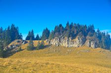 Marková skala 1390m