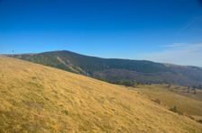 Malá Krížna 1319m & Mestská hoľa 1498m & Sedliacka 1389m