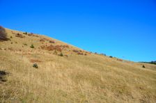 Zostup