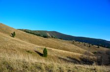 Mestská hoľa 1498m