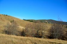 Mestská hoľa 1498m