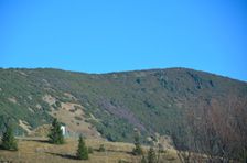 Mestská hoľa 1498m