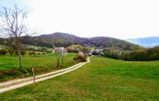 Bošáca-Zabudišová