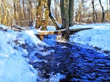 Prírodná pamiatka Selecký potok.