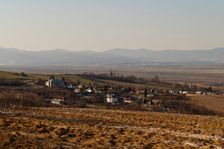 Buzica
