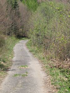 Cesta nad Morskym Okom