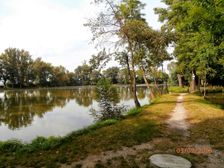 rybník  -obec Veľké Orvište