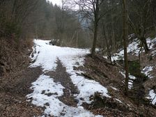 lesná cesta