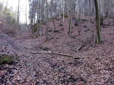 v doline