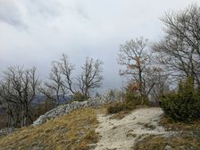 Pri výhliadke pod vrchom Bradlo.