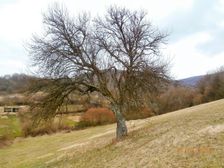Krajina Bielych Karpát ,obec Nová Bošáca  -osada Španie.