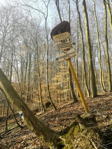Prameň