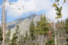 štíty nad Velickou dolinou