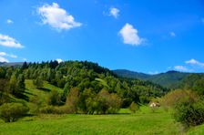 Trlenská dolina & Vlčia skala