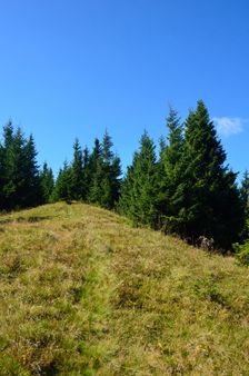 Šiprúň 1461m, horská lúka