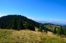Šiprúň 1443m