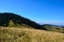 Šiprúň 1443m