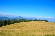 Predné 1291m, horská lúka