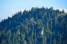 Predné 1360m, bralo