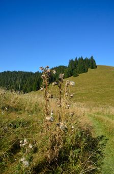 Vtáčnik 1152m