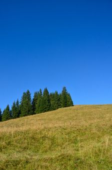 Vtáčnik 1152m