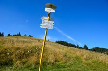 Sedlo pod Vtáčníkom 1120m, rázcestník