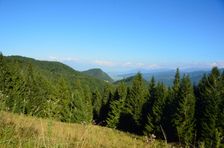 Borovník 1054m & Sidorovo 1099m