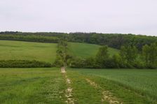 Bodvianska pahorkatina - Cserehát