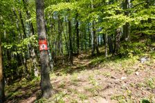 Zakaz zakladania ohna