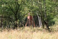 Poľovnícky posed