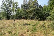 Lesná čistinka