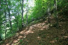 cesta na hrad 