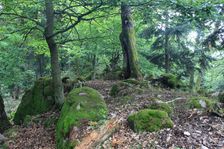 Slobodná skala - hrebeň