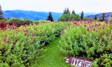 na mieste >Penzion Patrik -Mikulčin Vrch