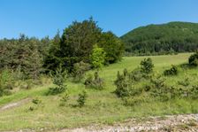 Odbočka po modrej turistickej značke