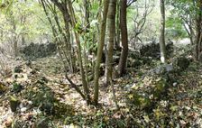 ... rozvaliny starej mastale ...