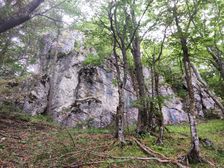 Skalky pred Srniakom