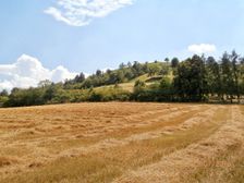 Pod kopcom Hájnica-obec Haluzice.