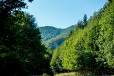 Pohľad na Medvediu skalu