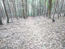 Chodníček z hrebeňa Považského Inovca