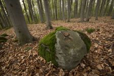 Kóta Klimentov Vrch