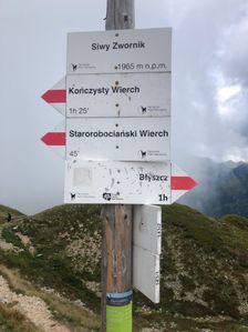 Siwy Zwornik