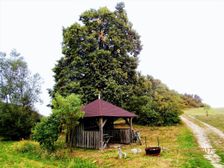 Bošáca-osada Rolincová