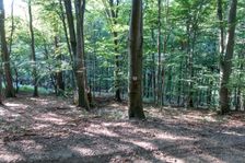 Značenie k prameňu