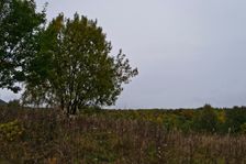 Ruská Bystrá