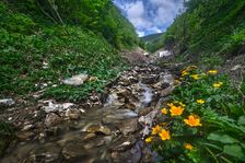 Záružlie na Ramžinej