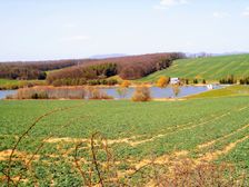 Vodná nádrž na potoku Haláčovka.
