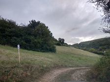 Značka Seleckej lesnej železnice