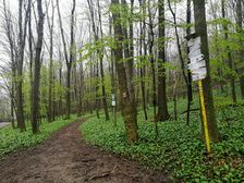 Brezinky - umiestnenie turistického rázcestníka