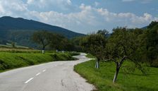 Lucka, Borcianska brazda.